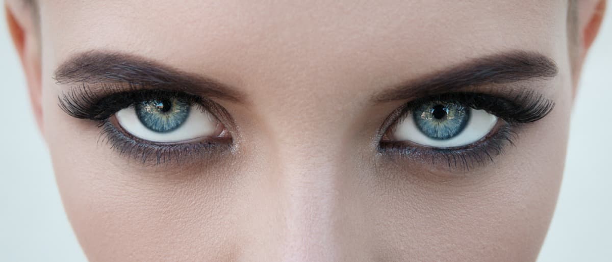 LashLink bietet professionelle Lösungen mit Zola Lamination für Wimpernverlängerungen