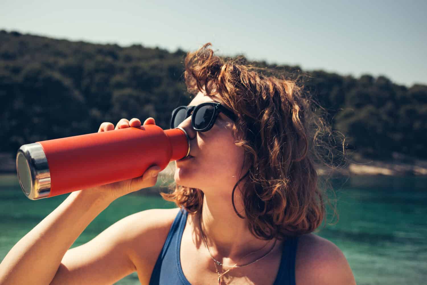 brita vs pur water filter